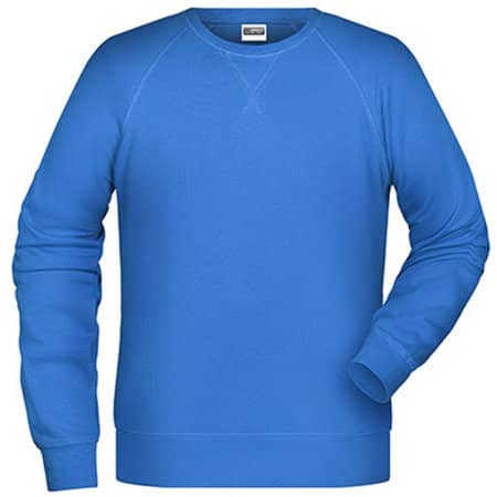 Leichtes Herren Bio-Sweatshirt in Cobalt von James+Nicholson (Artnum: JN8022