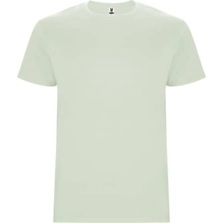 Stafford T-Shirt in Mist Green 264 von Roly (Artnum: RY6681