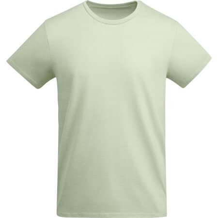 Nachhaltiges Organic Herren T-Shirt Breda in Mist Green 264 von Roly (Artnum: RY6698